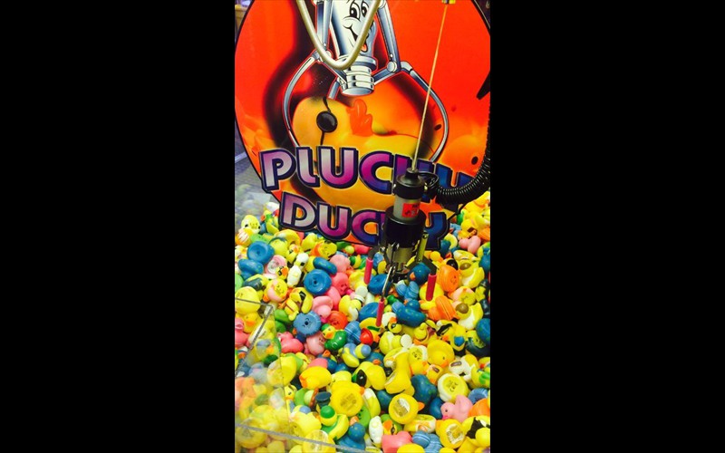 Plucky Duck